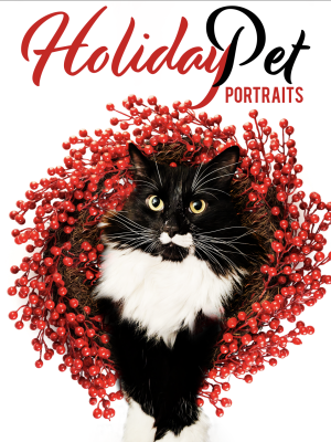 Screen Shot 2025-10-27 at 3.24.05 PM